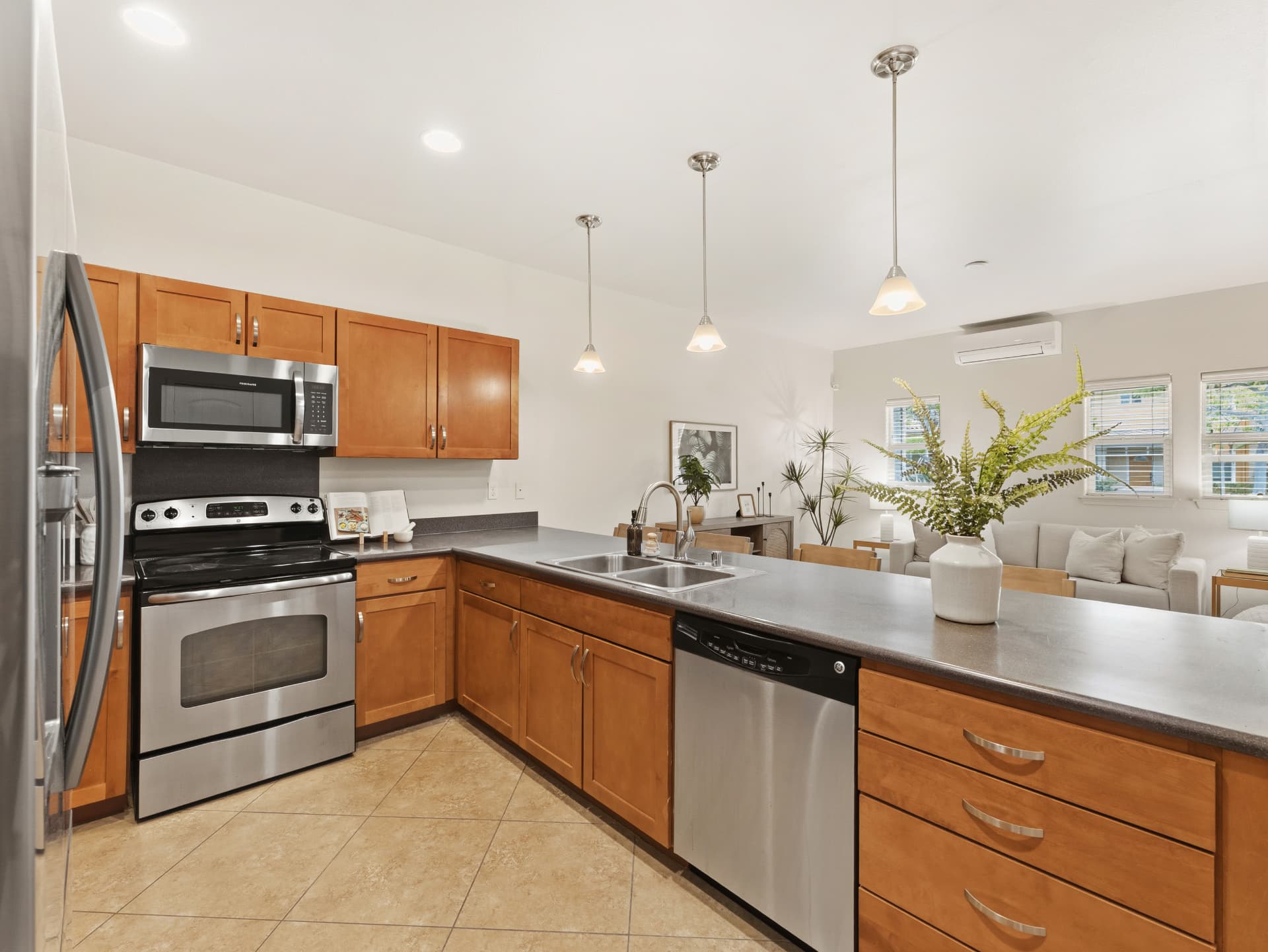 Kitchen with range, dishwasher and view to the living room