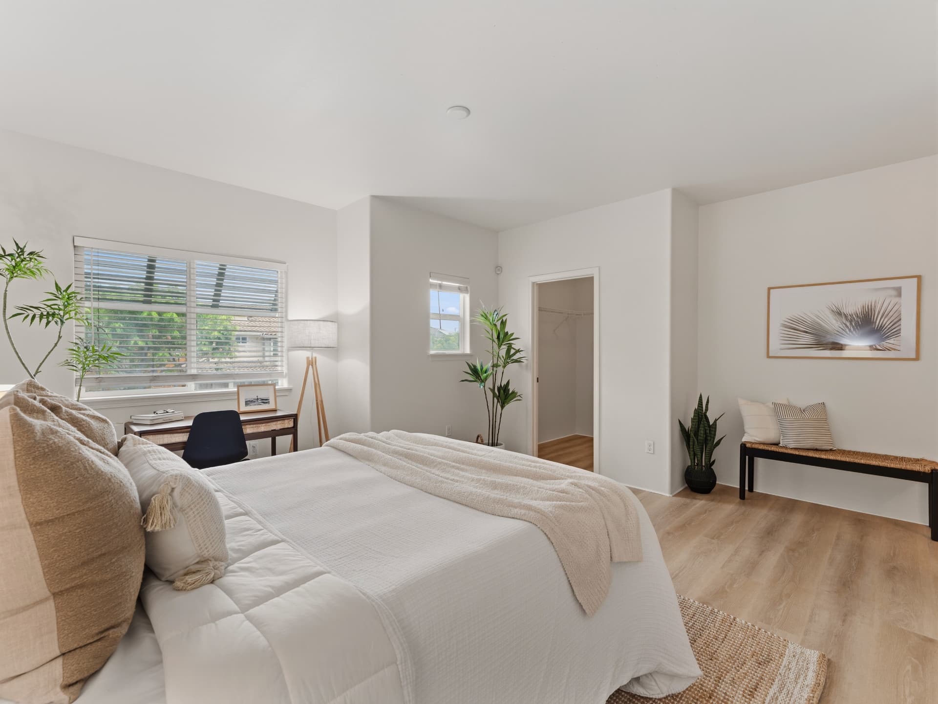 Primary bedroom with walk-in closet and natural light
